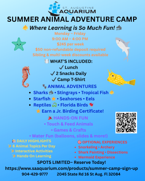 Animal Adventure Camp